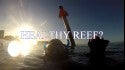 WAIKIKI HEALTHY REEF?