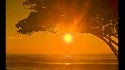 WAVE STORIES - HERE COMES SUN