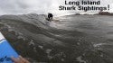 Long Island Shark Sightings! July Fun Surf!