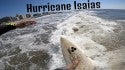 Surfing HURRICANE ISAIAS New York!