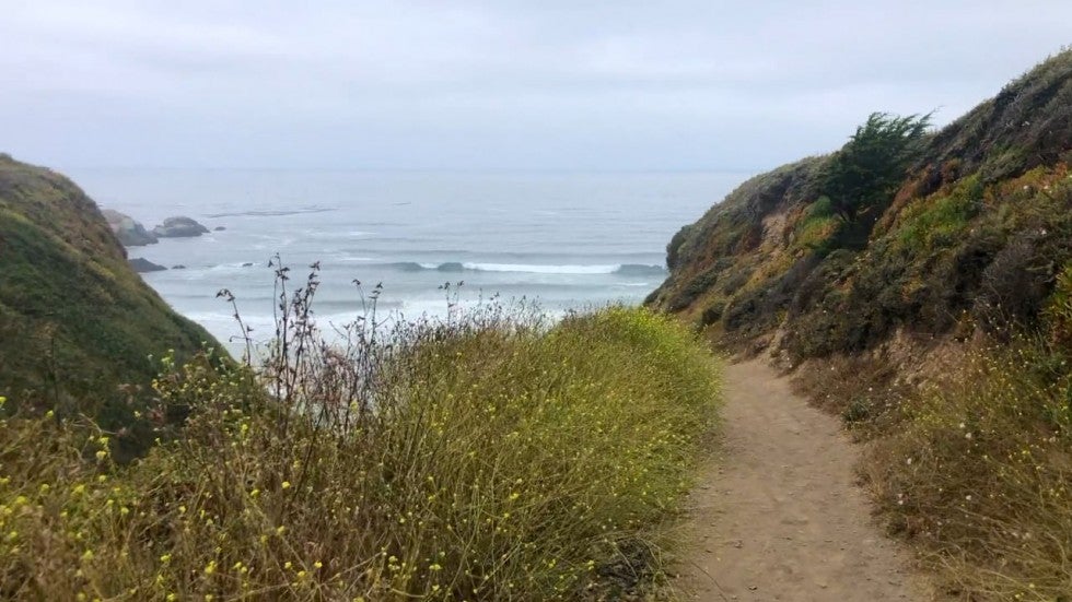 “A day in Big Sur” ft. Davey Stiles
