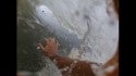 Mellow Morning Surf before Hurricane Teddy