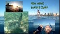 New Wave Surf Turtle