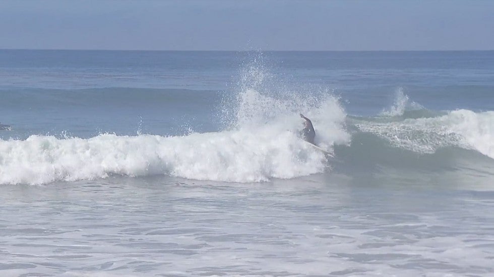 MAL Y BUENO FT. DAVEY STILES (SURFING MALIBU DURING QUARANTINE)